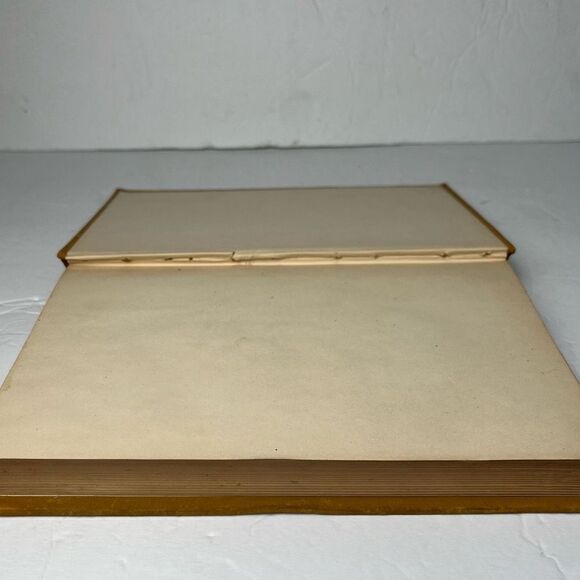 Wood’s Library of Standard Medical Authors Malaria and Malarial Diseases 1884 Ge - Picture 10 of 12